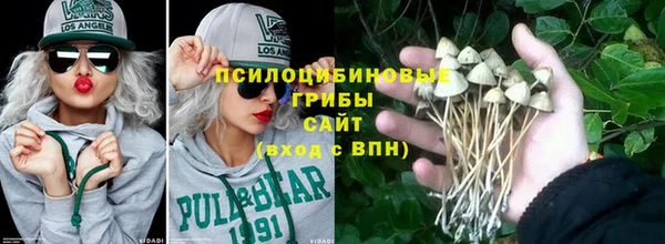 бутират Алексин